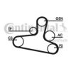 CONTITECH 6DPK1215D1 V-Ribbed Belt Set